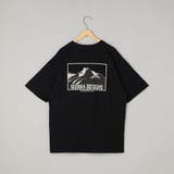 SIERRA DESIGNS（シエラデザインズ）別注ポケットTシャツ | coen【men】 | 詳細画像22 