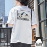 WHITE | SIERRA DESIGNS（シエラデザインズ）別注ポケットTシャツ | coen【men】