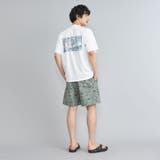 Coleman(コールマン)別注グラフィックTシャツ(WEB限定カラー) | coen【men】 | 詳細画像16