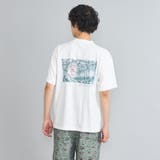 Coleman(コールマン)別注グラフィックTシャツ(WEB限定カラー) | coen【men】 | 詳細画像17