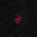 【WEB限定】POLO BCS ハーフジップスタンドカラーニット | coen【men】 | 詳細画像25 