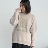 NATURAL | モールドッグジャガードニット【Youtube紹介アイテム】 | coen【men】