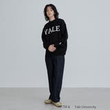 YALE別注ロゴクルーネックニット | coen【men】 | 詳細画像5