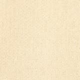 垢抜け ワンポイントニット Penneys（ぺニーズ）別注シャギークルーネックニ… | coen【men】 | 詳細画像37 