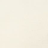 PVCキャンバスショルダーバッグ | coen【men】 | 詳細画像10 