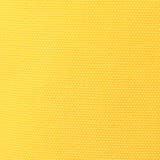 【SPBS × coen】トートバッグ | coen【men】 | 詳細画像11 