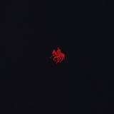 【POLO BCS(ポロ・ビーシーエス)別注】 裏毛スウェット | coen【women】 | 詳細画像45