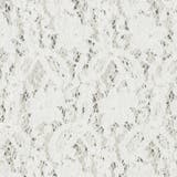 カットレース タートルネックトップス | coen【women】 | 詳細画像26