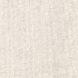 ＜Parknik＞ロゴバックプリント裏毛スウェット | coen【women】 | 詳細画像11 