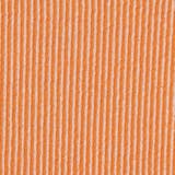 【セットアイテム】配色リブキャミソールセットTシャツ | coen【women】 | 詳細画像40