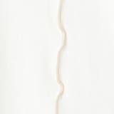 配色メローデザインTシャツ | coen【women】 | 詳細画像21