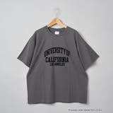 【UCLA 別注】 カレッジプリントTシャツ | coen【women】 | 詳細画像20