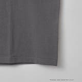 【UCLA 別注】 カレッジプリントTシャツ | coen【women】 | 詳細画像24
