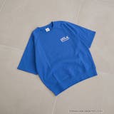 COBALT | 【UCLA 別注】 カレッジプリント裏毛ハーフスリーブプルオーバー | coen【women】