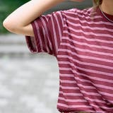シアーマルチボーダーTシャツ | coen【women】 | 詳細画像15