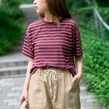 WINE | シアーマルチボーダーTシャツ | coen【women】