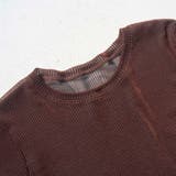 シアーメッシュ フロッキーストライプ半袖Tシャツ | coen【women】 | 詳細画像14 