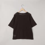 シアーメッシュ フロッキーストライプ半袖Tシャツ | coen【women】 | 詳細画像20 