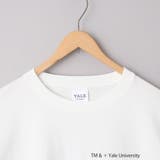 YALE別注 ゆるシルエットTシャツ | coen【women】 | 詳細画像34