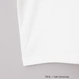 YALE別注 ゆるシルエットTシャツ | coen【women】 | 詳細画像36