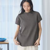 DK.GRAY | USAコットンワイドリブリピTフレンチスリーブ | coen【women】