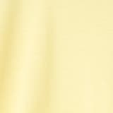 PENNEYS別注 カノコフレアTシャツ | coen【women】 | 詳細画像38