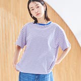 LT.PINK | コットンレトロボーダー半袖シャツ | coen【women】