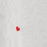 SunnySports(サニースポーツ)別注チュールTシャツ | coen【women】 | 詳細画像36