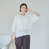 レースライクカットソードロストTシャツ | coen【women】 | 詳細画像4