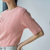 アカラコットンマルチボーダーコンパクトTシャツ | coen【women】 | 詳細画像6 