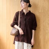 DK.BROWN | シアーメッシュ フロッキーストライプレギュラーカラーシャツ | coen【women】