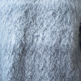 【PENNEYS(ぺニーズ)別注】 グラデ起毛シャギーニット | coen【women】 | 詳細画像9