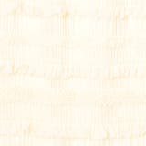 シフォンフリルナロースカート | coen【women】 | 詳細画像44