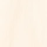 【WEB限定】Dickies（ディッキーズ）別注サイドジップジャンパースカート | coen【women】 | 詳細画像37 