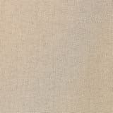 【セットアイテム】リネンタッチTブラウスセットアップ | coen【women】 | 詳細画像50