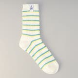OFF WHITE | Robert P.Miller(ロバートピーミラー)シャギーボーダーソックス | coen【women】