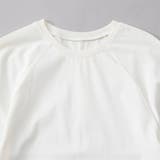 【RONEL】クリアスムースラグランスリーブカットソー | coen【women】 | 詳細画像15