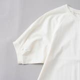 【RONEL】クリアスムースラグランスリーブカットソー | coen【women】 | 詳細画像16