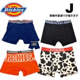 NEW Dickies メンズ | COMPLETE | 詳細画像2 