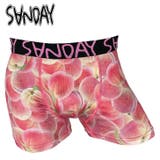 SANDAY-08 ボクサーパンツ ピーチ 前閉じ つるつる メンズ 下着  | COMPLETE | 詳細画像1 