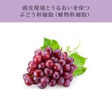 レヴール Reveur リッチ＆モイスト トリートメント 400mLレフィル | CosmeLand | 詳細画像5 