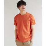 オレンジ | ライトダンボールWフェイスT | ikka