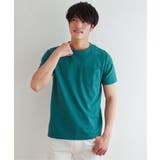 グリーン | ライトダンボールWフェイスT | ikka