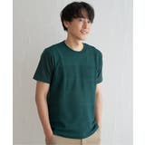 グリーン | ニットコンビポンチTシャツ | ikka 