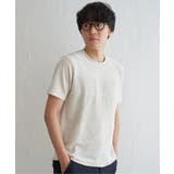 ベージュ | ニットコンビポンチTシャツ | ikka 