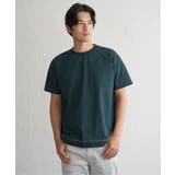 グリーン | 冷感DRYジョーゼットリブTシャツ | ikka