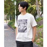冷感コットンフォトプリントTシャツ【親子コーデ】 | ikka | 詳細画像9