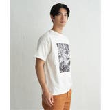 冷感コットンフォトプリントTシャツ【親子コーデ】 | ikka | 詳細画像14