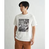 冷感コットンフォトプリントTシャツ【親子コーデ】 | ikka | 詳細画像15
