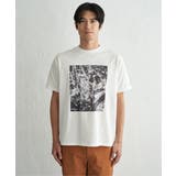 冷感コットンフォトプリントTシャツ【親子コーデ】 | ikka | 詳細画像28